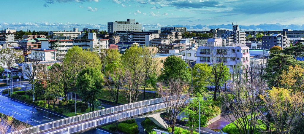 柏市の住宅街と主要エリアを見渡す街並み風景。暮らしやすいエリア選びに役立つ柏の住宅情報を視覚で伝える。
