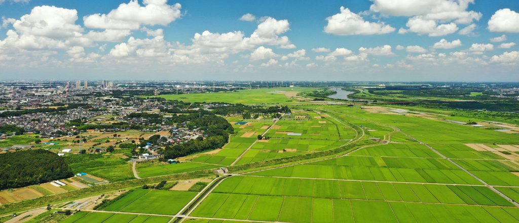我孫子市の緑の豊かなイメージ。手賀沼近くの田園風景と広がる空。我孫子市の郊外エリアや自然豊かな住環境の暮らしをイメージさせる写真。