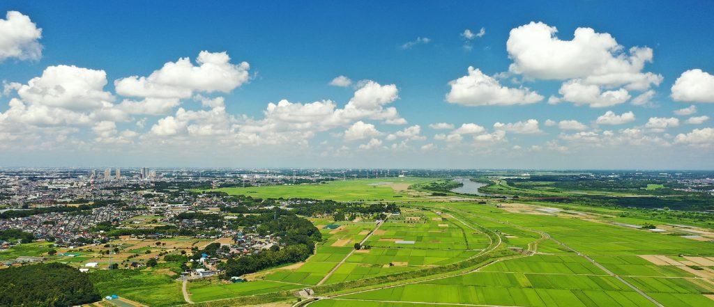 我孫子市の手賀沼と田園風景。自然環境と暮らしやすさを背景にした不動産市場の魅力