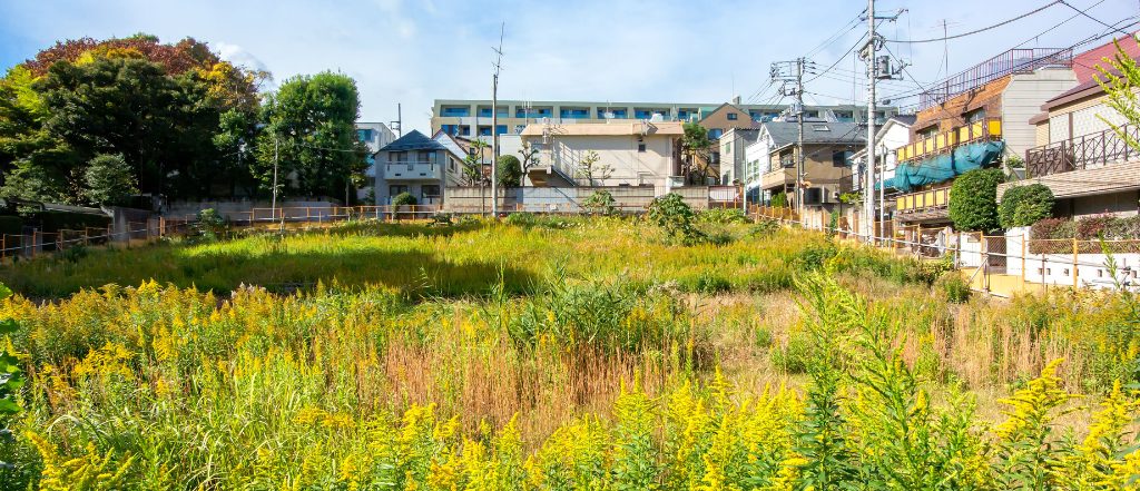 我孫子市 住宅街にある空地 草木が生い茂る更地 不動産売却や土地活用の検討が必要な土地の一例